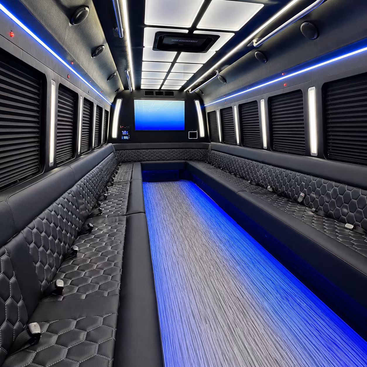 asheville 50 passenger party bus inside